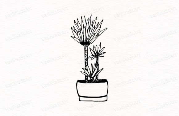 Download Dracaena, Palm Tree, Potted Flower - Premium Resources