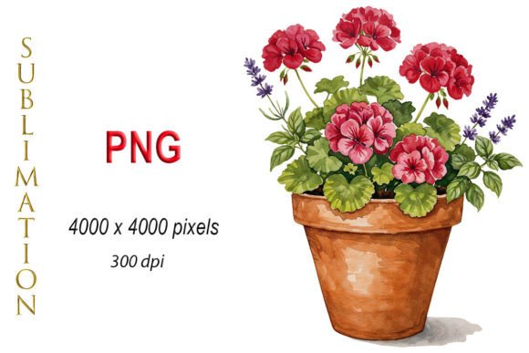 Download Watercolor Geranium, Potted Flowers PNG - Potted flower Collection