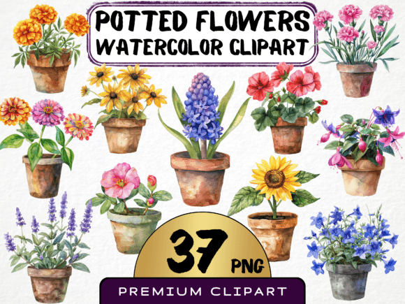 Download Potted Flowers Clipart Bundle 37 PNG - Potted flower Collection
