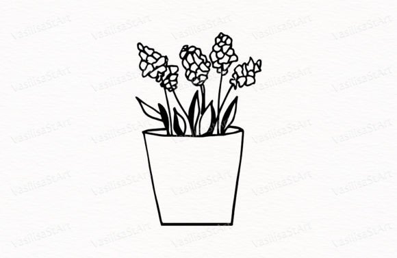 Download Hyacinth, Potted Flower - Premium Resources