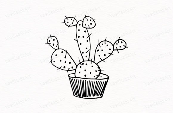 Download Cactus, Peyote, Potted Flower - Premium Bundle