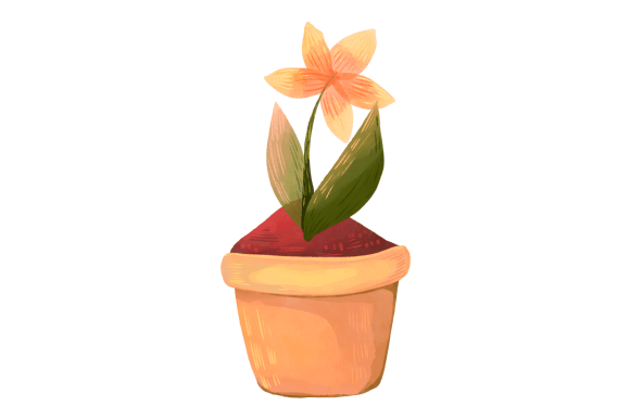 Download Potted Flower - Potted flower Collection