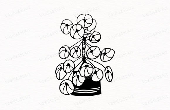 Download Potted Flower, House Plant - Premium Resources